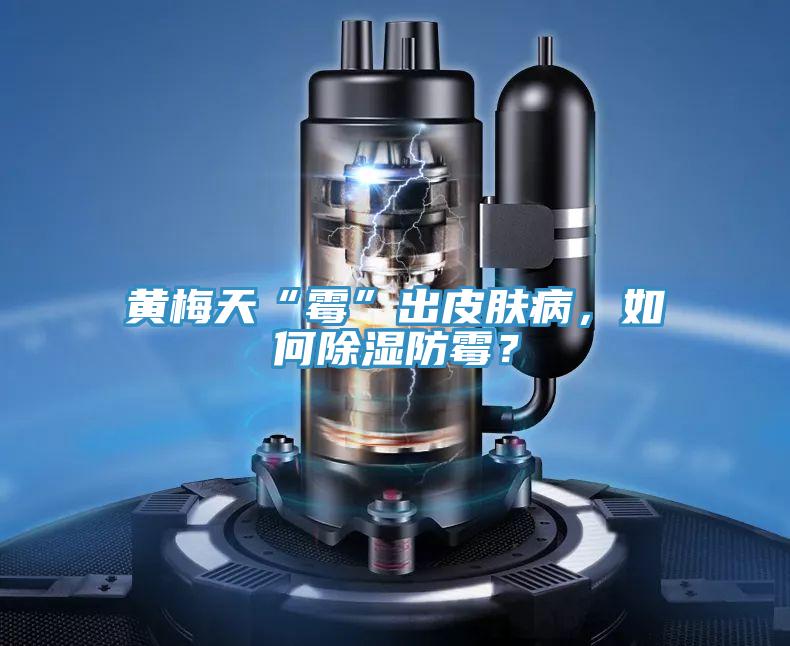 黄梅天“霉”出皮肤病，如何除湿防霉？