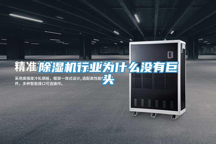 免费看操逼软件行业为什么没有巨头