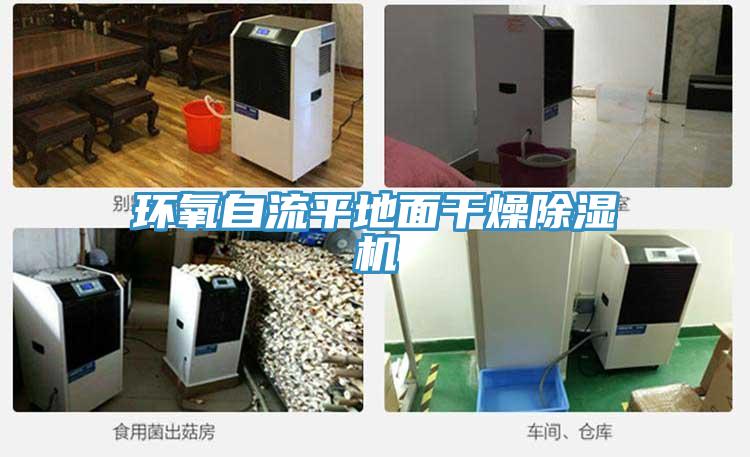 环氧自流平地面干燥免费看操逼软件