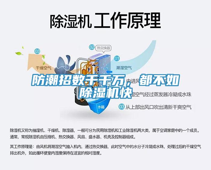 防潮招数千千万，都不如免费看操逼软件快