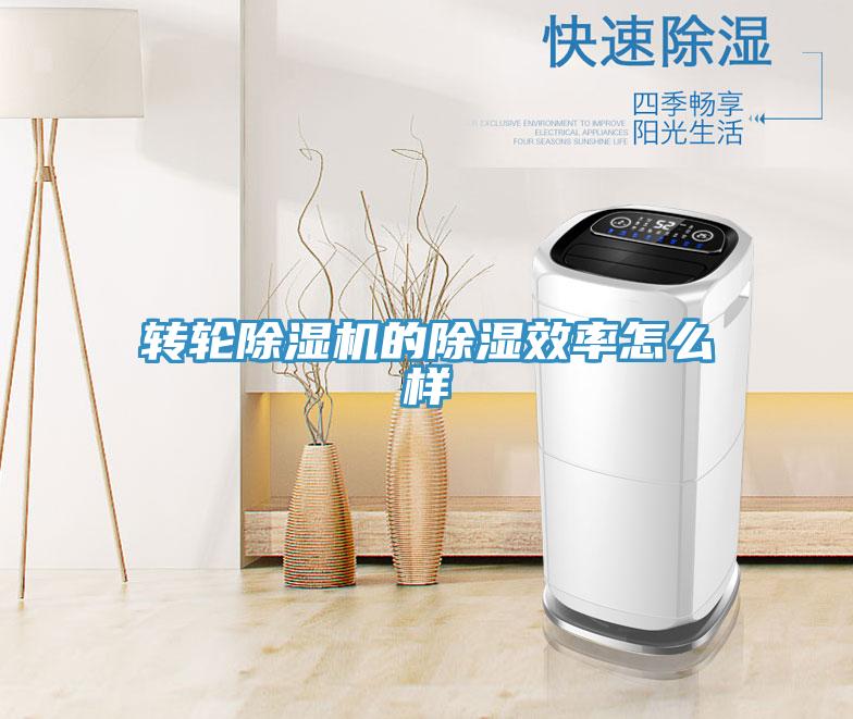 转轮免费看操逼软件的除湿效率怎么样
