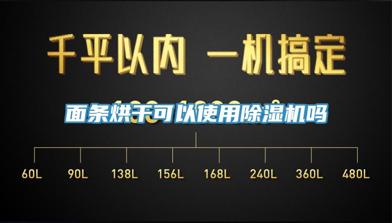 面条烘干可以使用免费看操逼软件吗