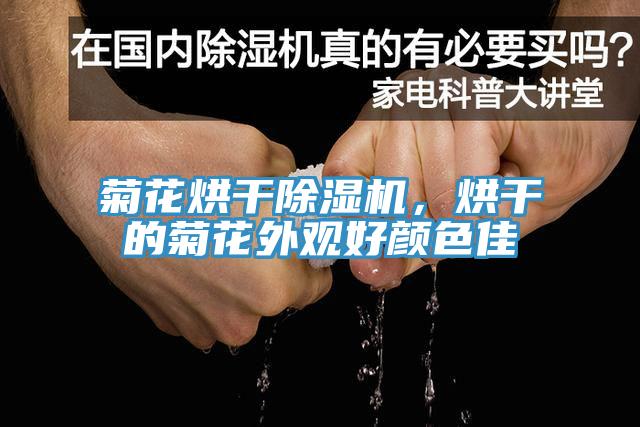 菊花烘干免费看操逼软件，烘干的菊花外观好颜色佳