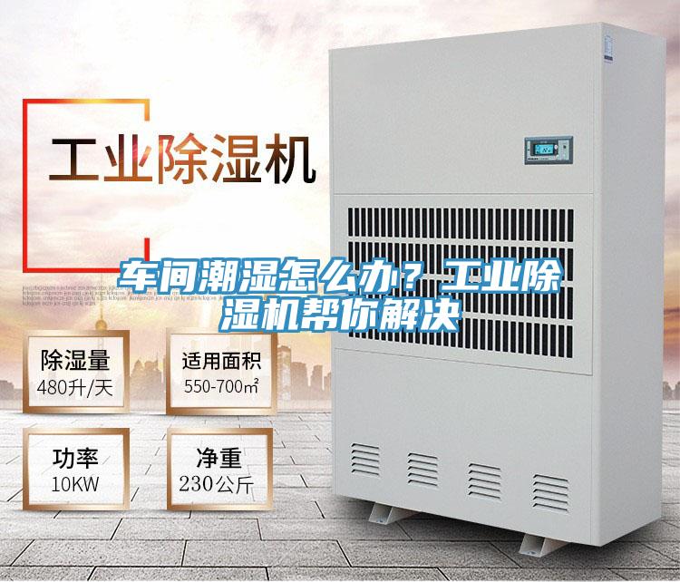 车间潮湿怎么办？工业免费看操逼软件帮你解决