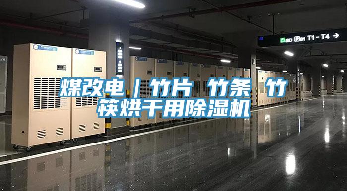 煤改电｜竹片 竹条 竹筷烘干用免费看操逼软件