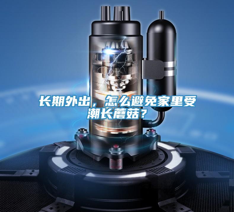 长期外出，怎么避免家里受潮长蘑菇？