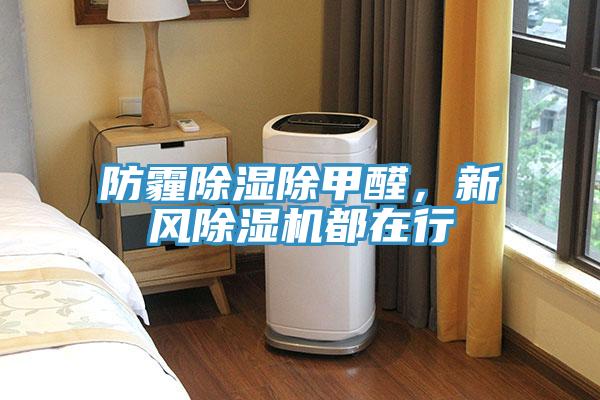 防霾除湿除甲醛，新风免费看操逼软件都在行