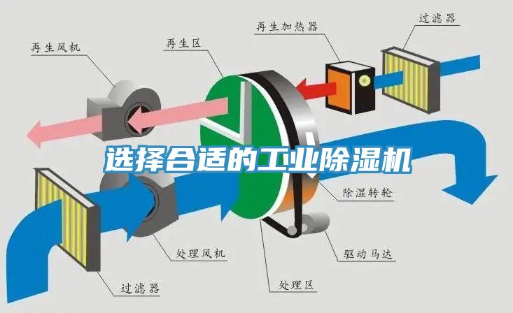 选择合适的工业免费看操逼软件