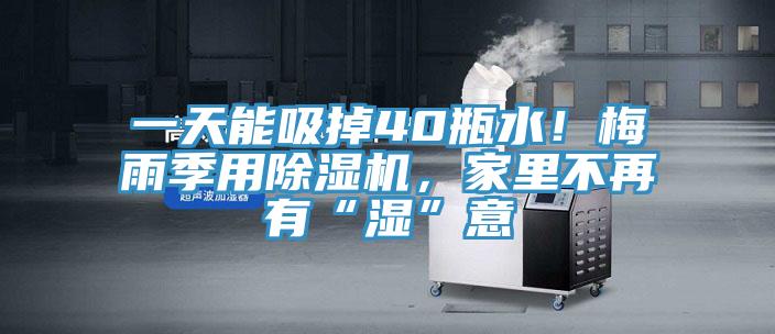 一天能吸掉40瓶水！梅雨季用免费看操逼软件，家里不再有“湿”意