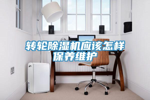 转轮免费看操逼软件应该怎样保养维护