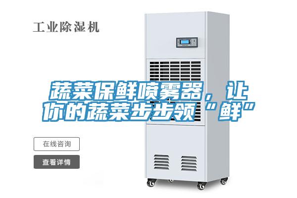 蔬菜保鲜喷雾器，让你的蔬菜步步领“鲜”