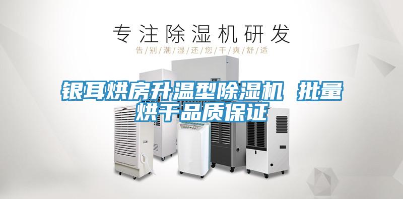 银耳烘房升温型免费看操逼软件 批量烘干品质保证
