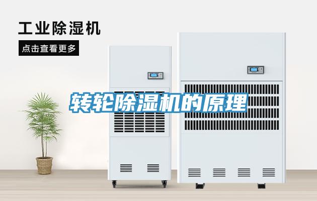 转轮免费看操逼软件的原理