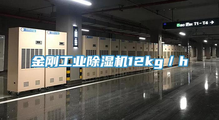 金刚工业免费看操逼软件12kg／h
