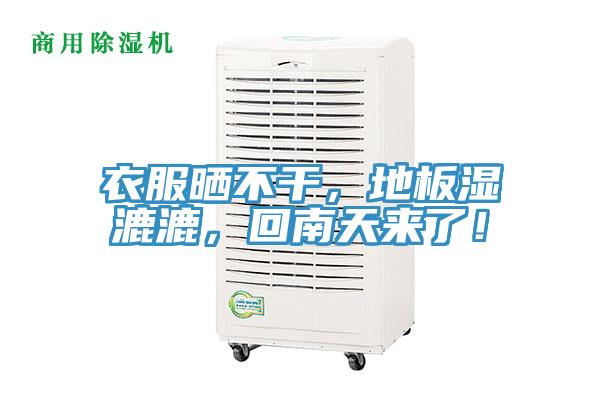 衣服晒不干，地板湿漉漉，回南天来了！