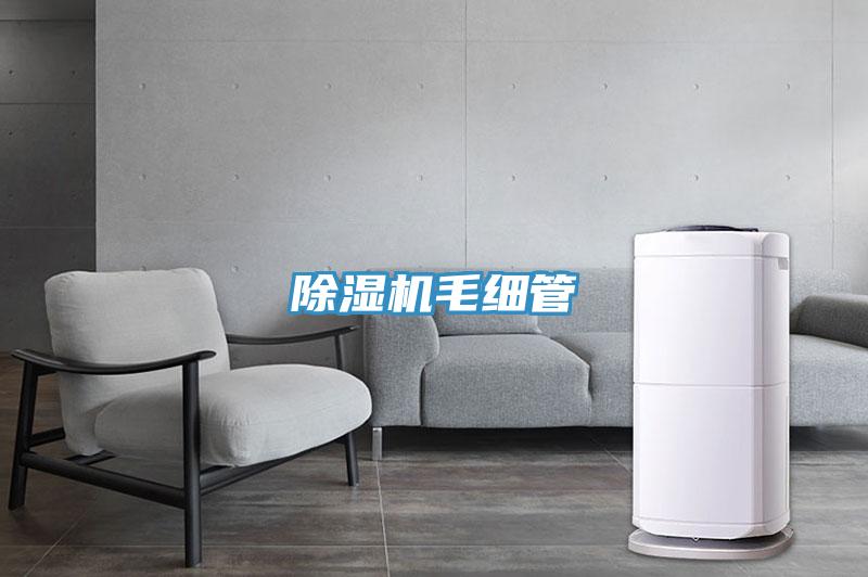 免费看操逼软件毛细管