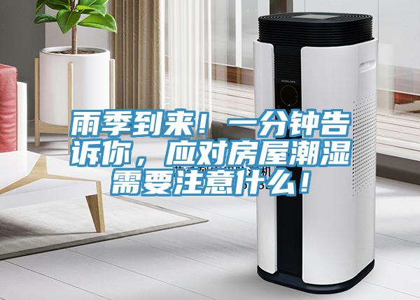雨季到来！一分钟告诉你，应对房屋潮湿需要注意什么！
