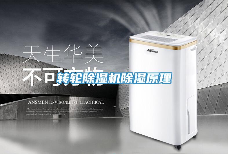 转轮免费看操逼软件除湿原理