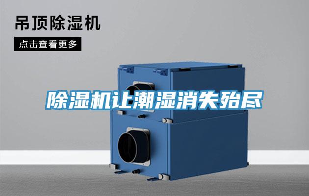 免费看操逼软件让潮湿消失殆尽