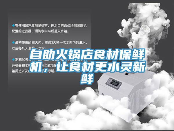 自助火锅店食材保鲜机，让食材更水灵新鲜