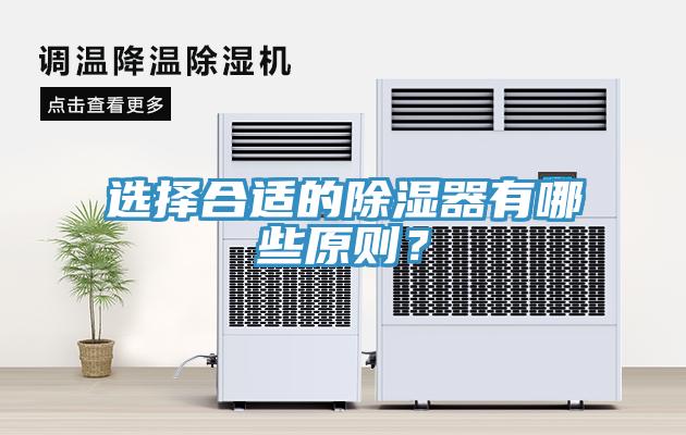选择合适的除湿器有哪些原则？
