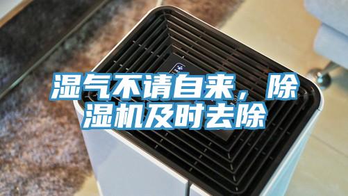 湿气不请自来，免费看操逼软件及时去除
