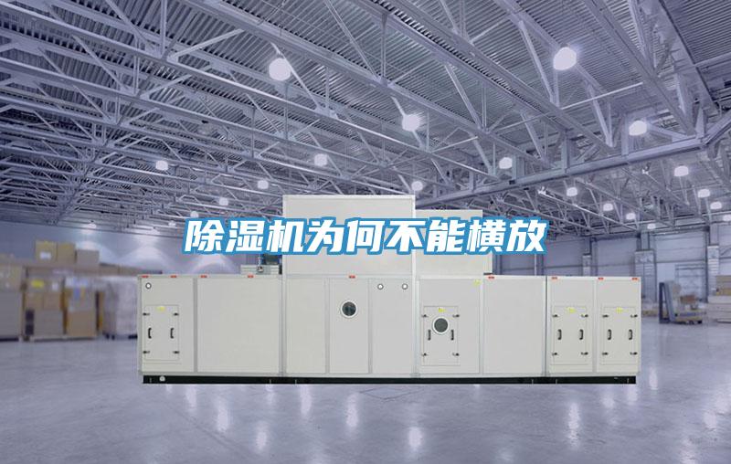 免费看操逼软件为何不能横放