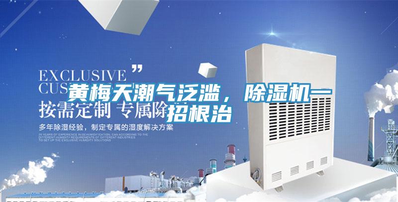 黄梅天潮气泛滥，免费看操逼软件一招根治