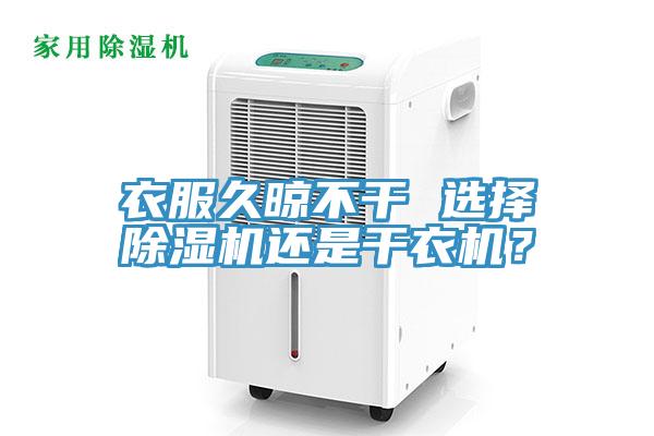 衣服久晾不干 选择免费看操逼软件还是干衣机？