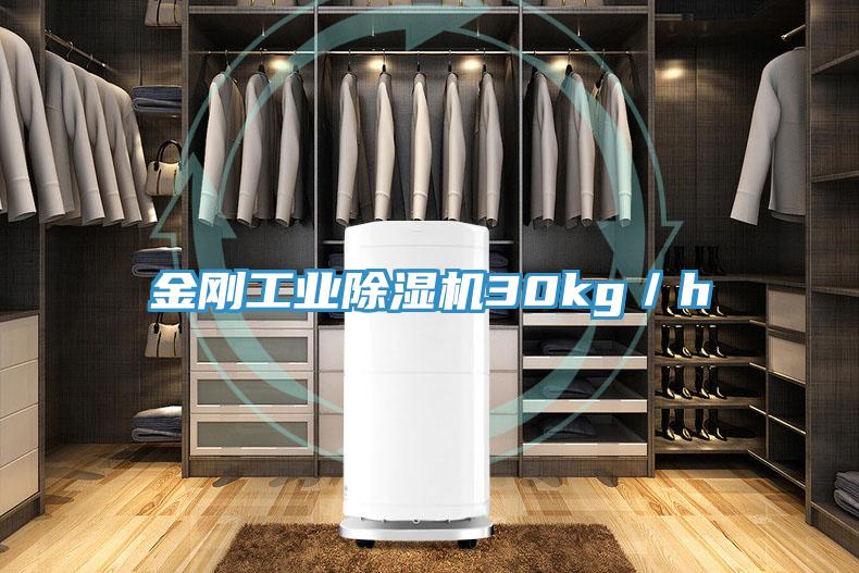金刚工业免费看操逼软件30kg／h