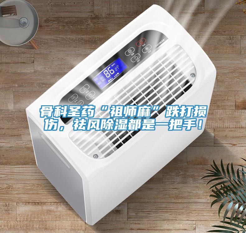 骨科圣药“祖师麻”跌打损伤，祛风除湿都是一把手！