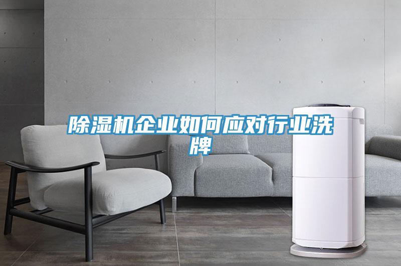 免费看操逼软件企业如何应对行业洗牌