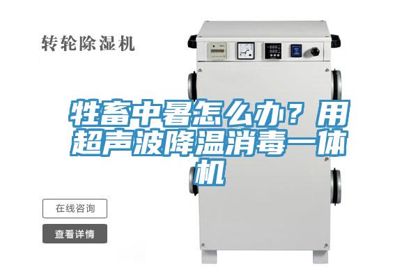 牲畜中暑怎么办？用超声波降温消毒一体机