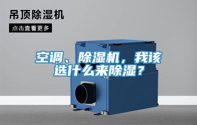 空调、免费看操逼软件，我该选什么来除湿？