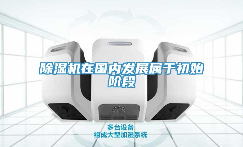 免费看操逼软件在国内发展属于初始阶段