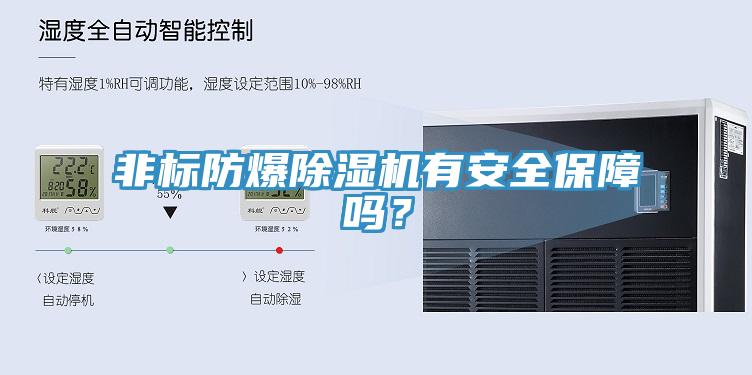 非标防爆免费看操逼软件有安全保障吗？