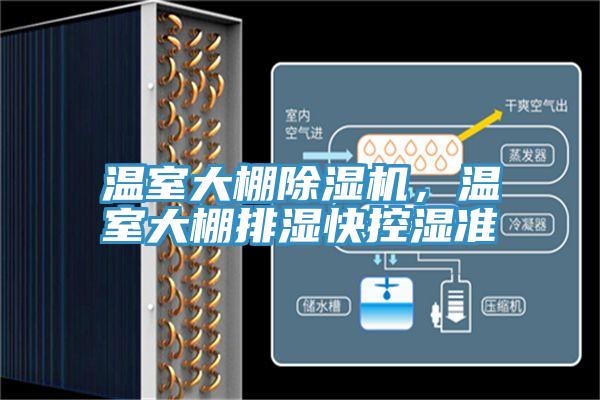 温室大棚免费看操逼软件，温室大棚排湿快控湿准