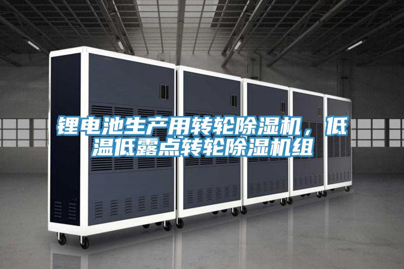 锂电池生产用转轮免费看操逼软件，低温低露点转轮免费看操逼软件组