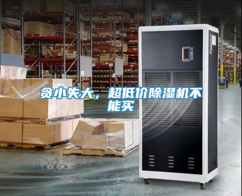 贪小失大，超低价免费看操逼软件不能买