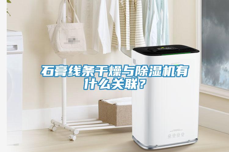石膏线条干燥与免费看操逼软件有什么关联？