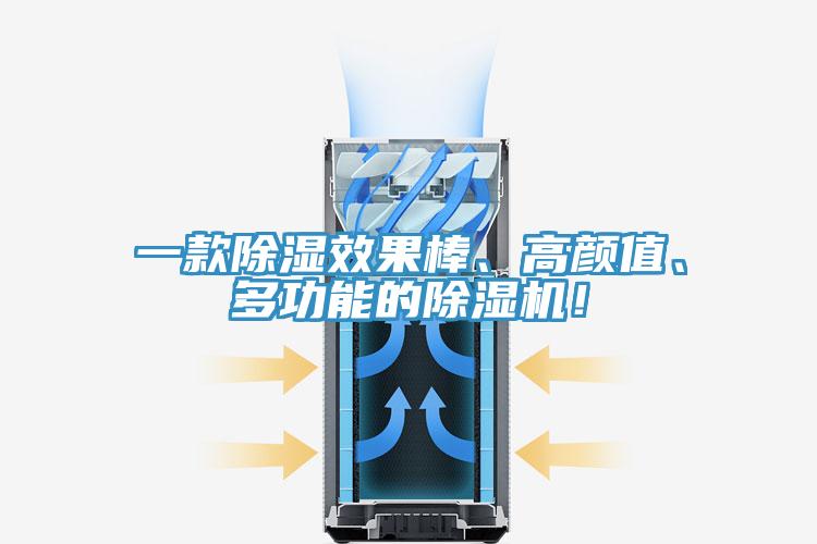 一款除湿效果棒、高颜值、多功能的免费看操逼软件！