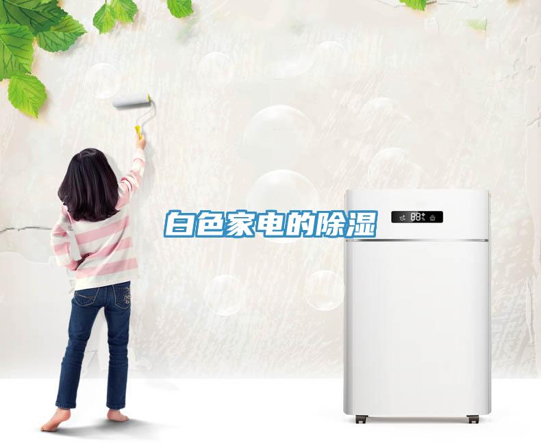 白色家电的除湿