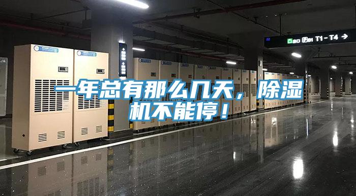 一年总有那么几天，免费看操逼软件不能停！