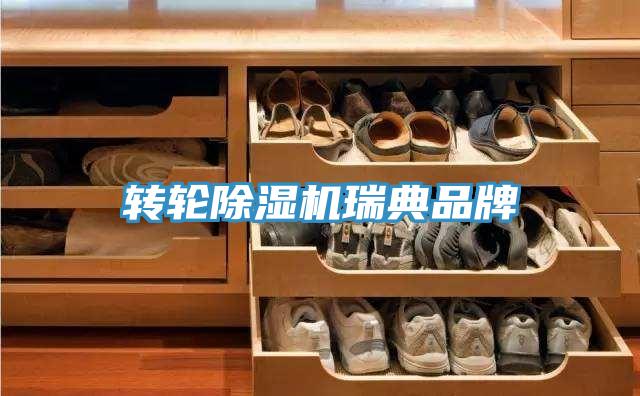转轮免费看操逼软件瑞典品牌
