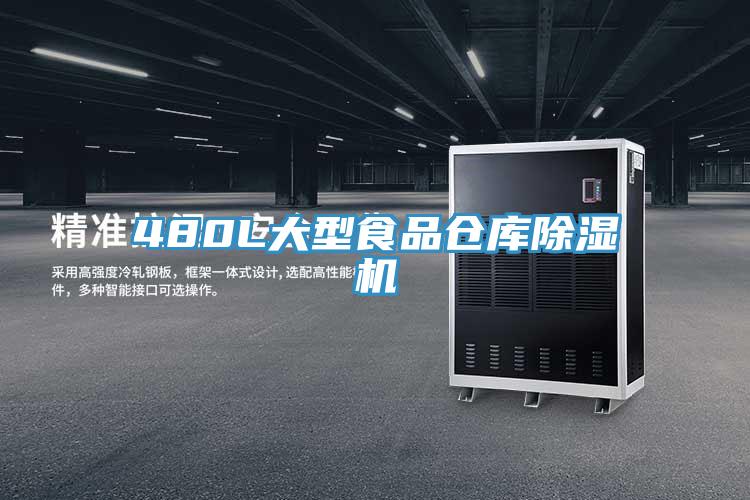 480L大型食品仓库免费看操逼软件