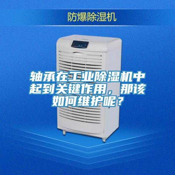轴承在工业免费看操逼软件中起到关键作用，那该如何维护呢？