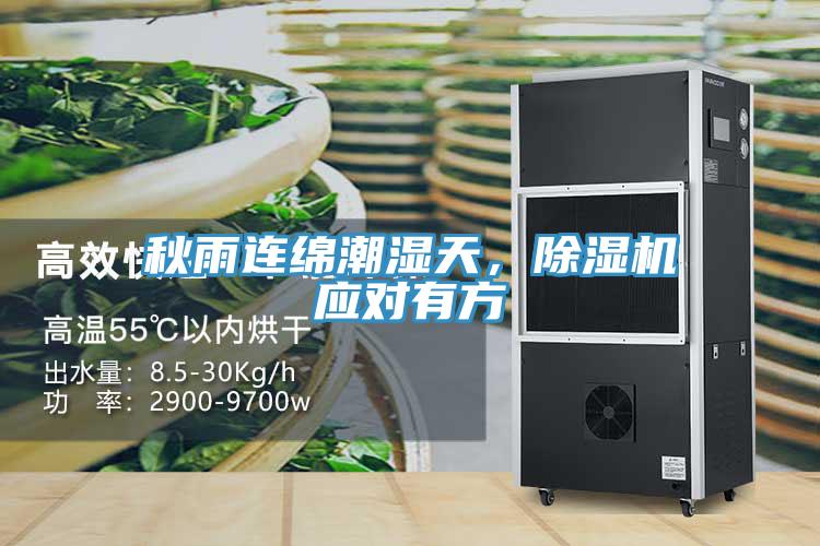 秋雨连绵潮湿天，免费看操逼软件应对有方