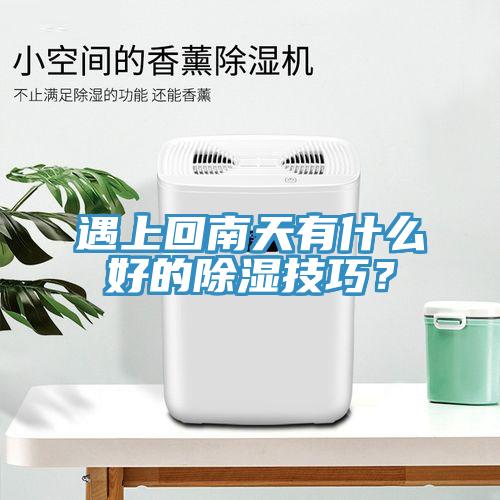 遇上回南天有什么好的除湿技巧？