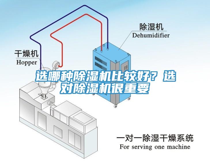 选哪种免费看操逼软件比较好？选对免费看操逼软件很重要