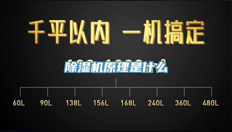 免费看操逼软件原理是什么